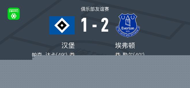 埃弗顿2-1汉堡，勒尔建功